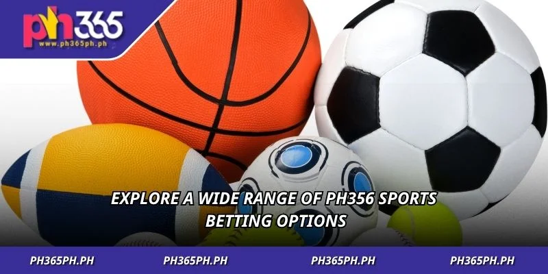 Explore a wide range of PH356 sports betting options