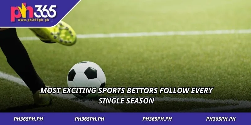 Most exciting sports bettors follow every single season